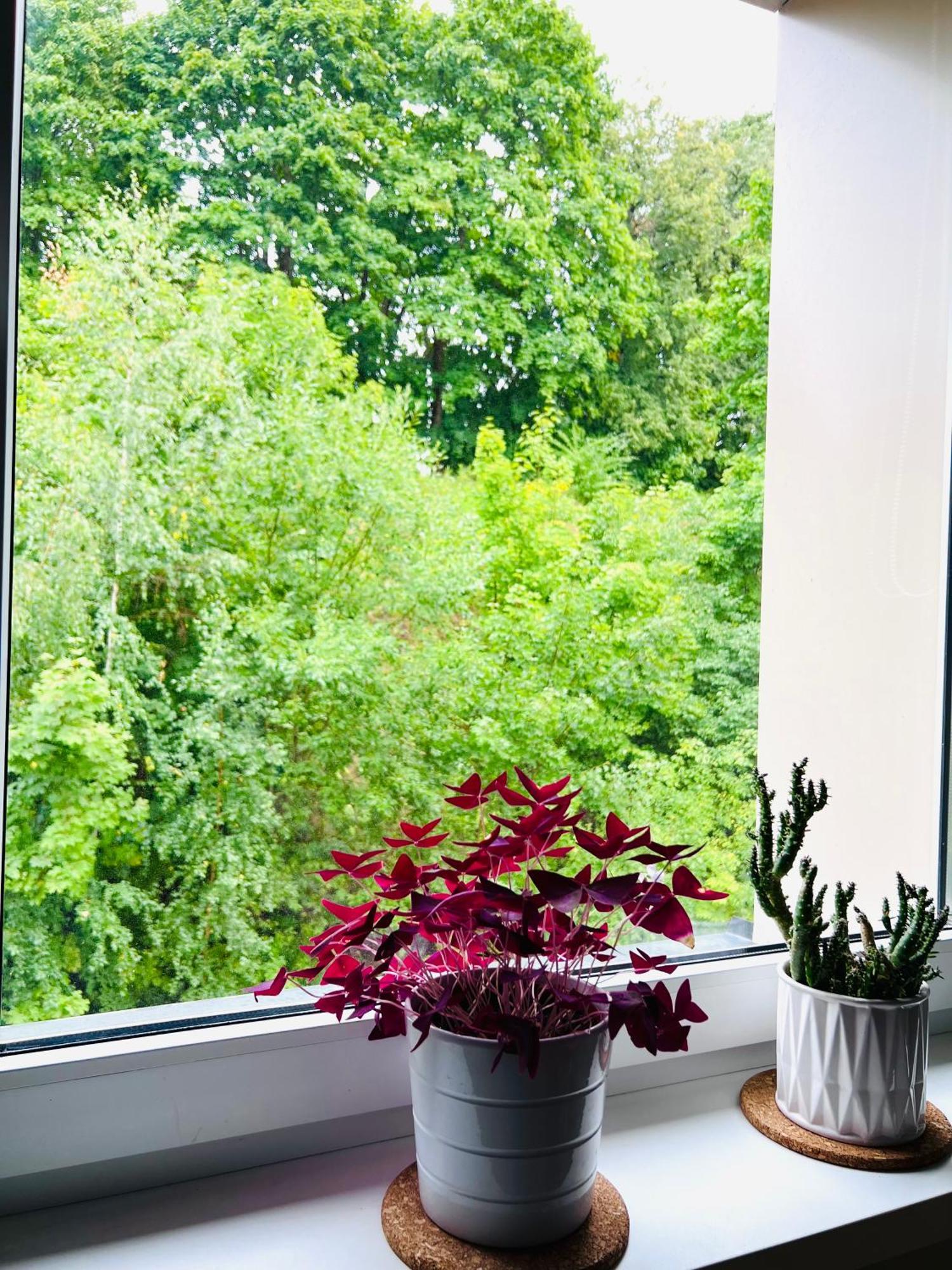 Comfy Classic Apartment In Trakai Bagian luar foto